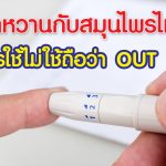 เบาหวาน… กับสมุนไพรไทย  ใครไม่ใช้ถือว่า Out!!!