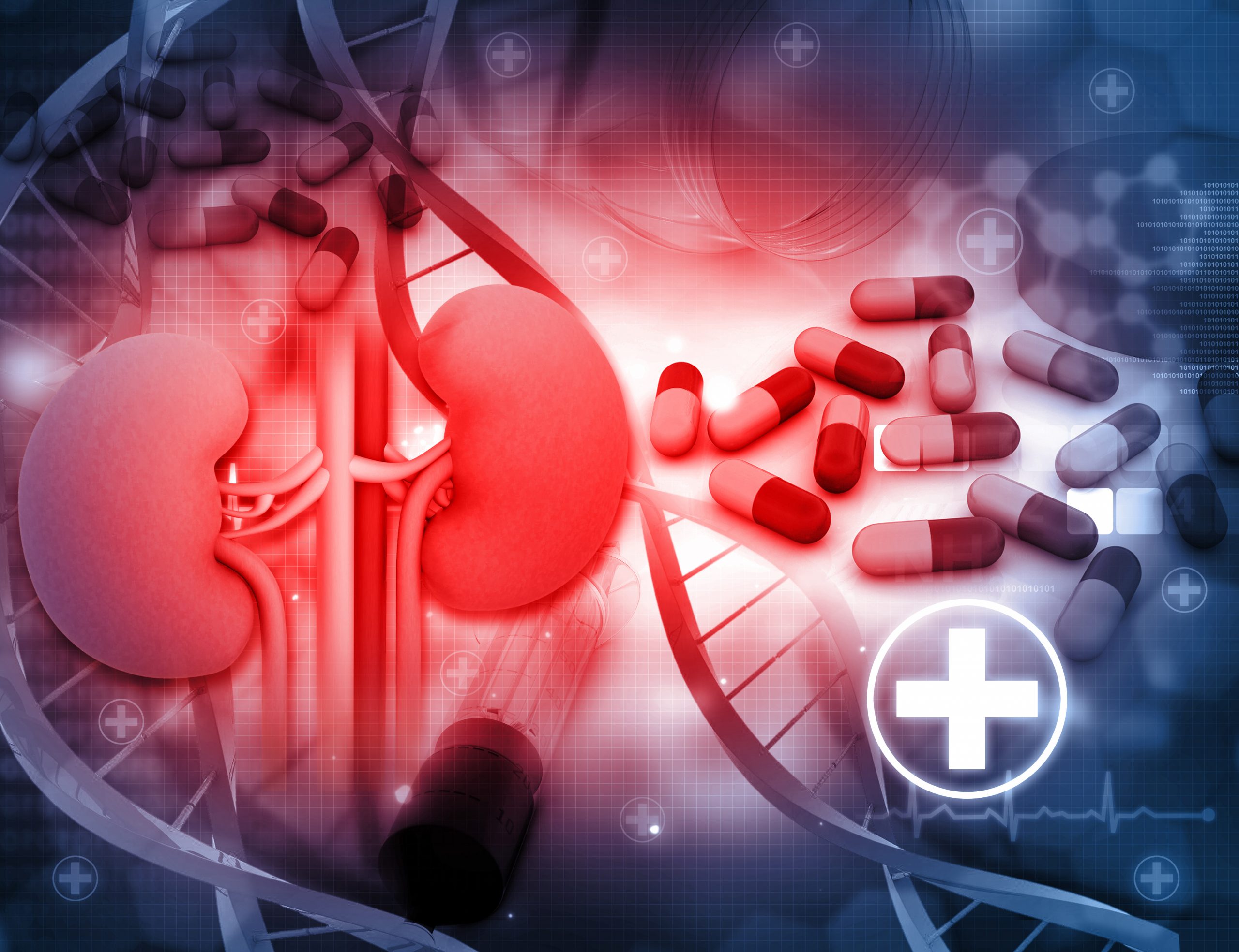 3d render of Human kidney with medicines
